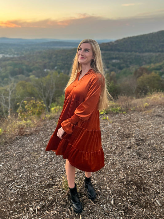 Orange Long Sleeve Velvet Dress
