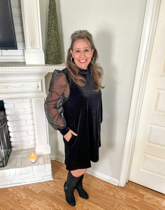 Black Velvet & Organza Sleeves Dress w/ Pockets